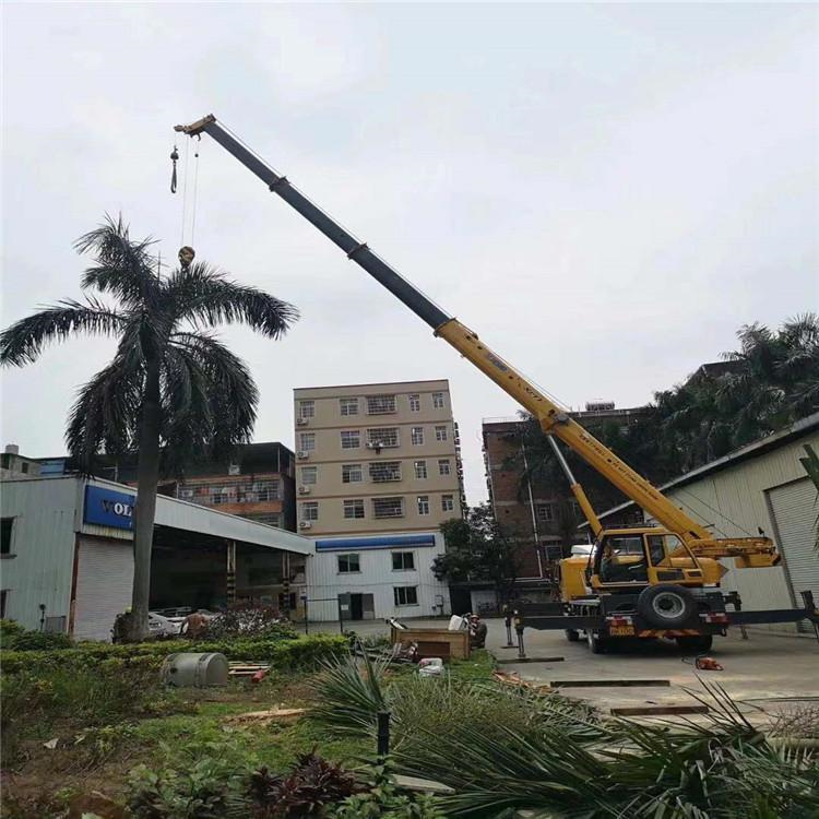 沙湖原种场汽车吊出租多少钱？全面解析与市场行情