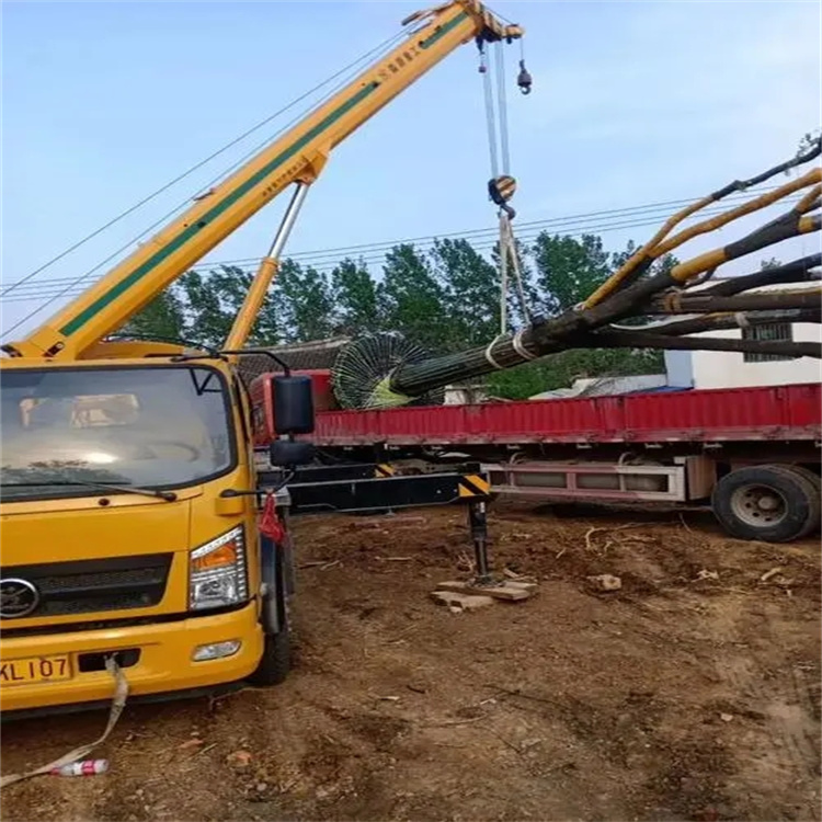 沙湖原种场100吨吊车租赁费用怎么算？3大关键因素+省钱技巧全解析