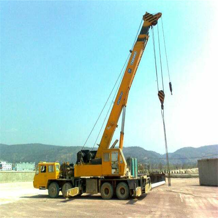 沙湖原种场小型吊车出租价格是多少